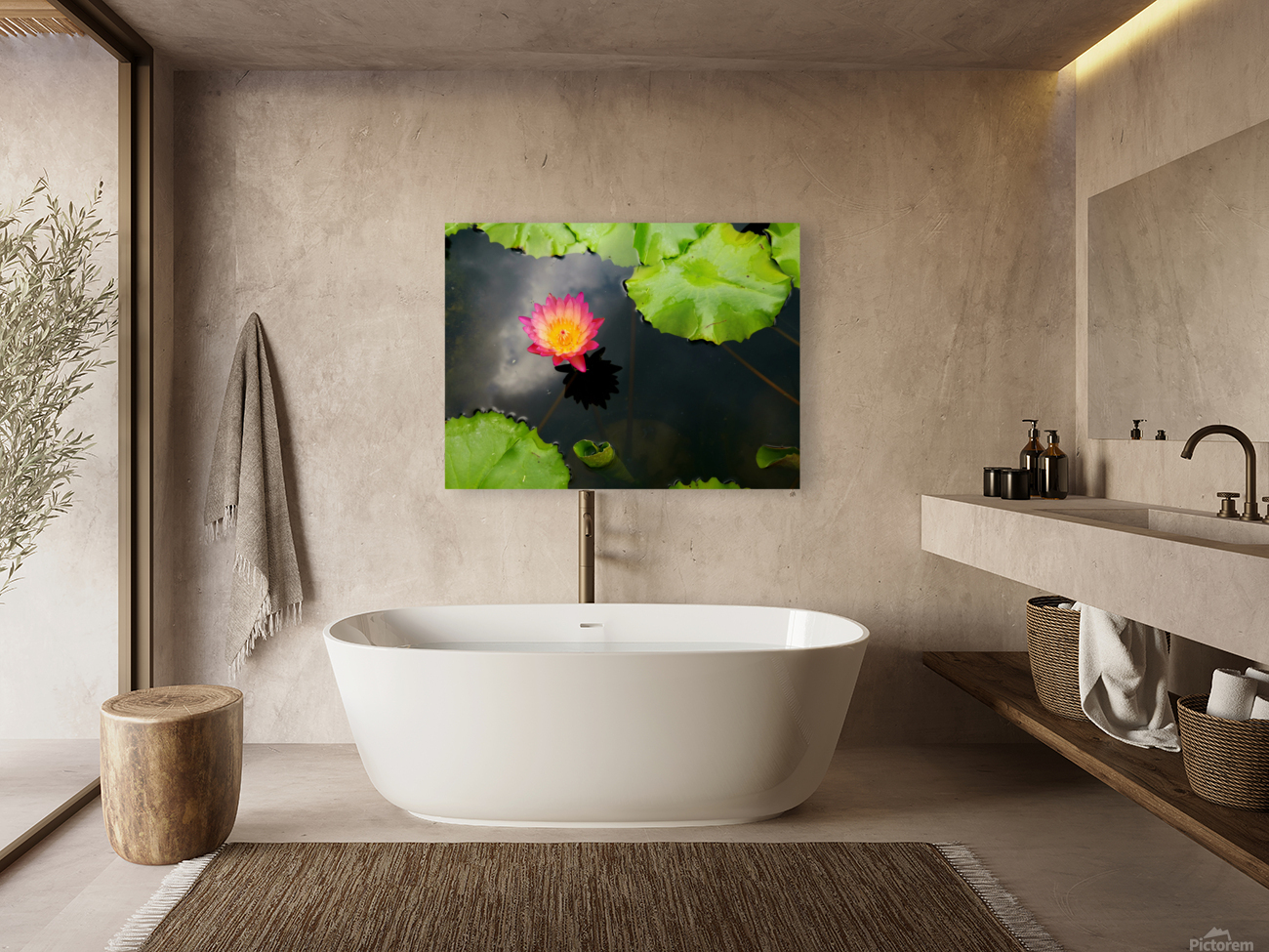 Water Lily Reproduction