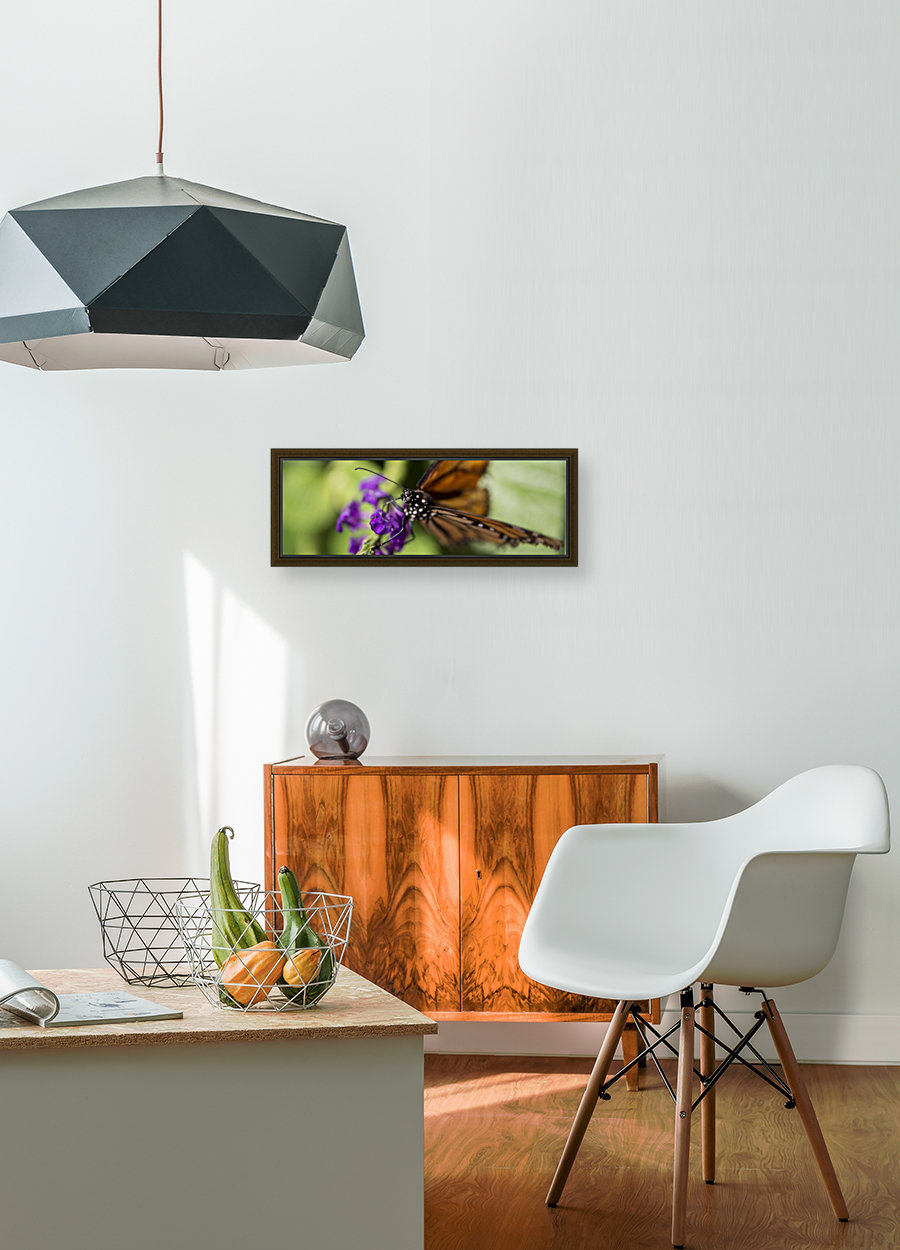 Butterfly Eye Reproduction