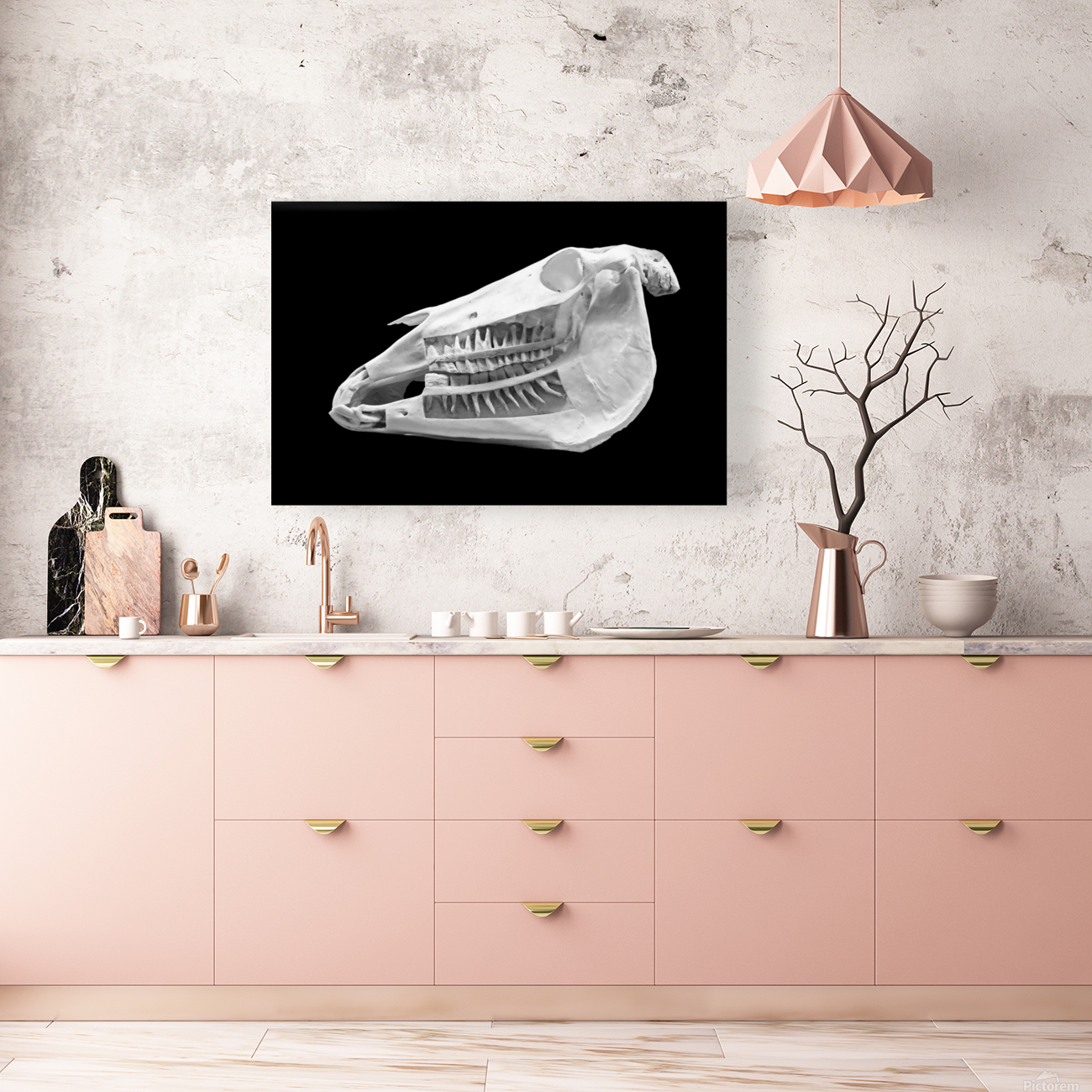 Horse Skull Showing Embedded Teeth Reproduction