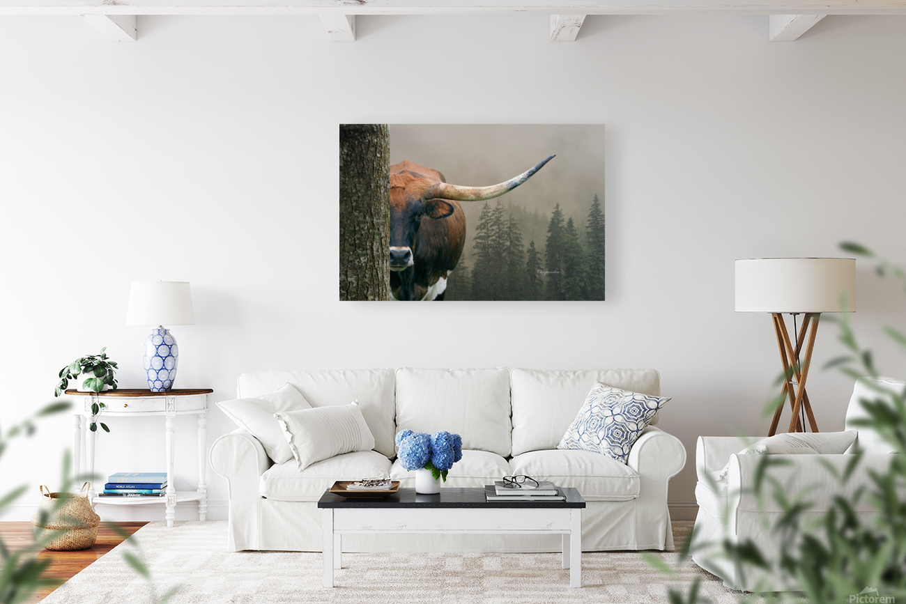 Longhorn Cow In Trees Reproduction