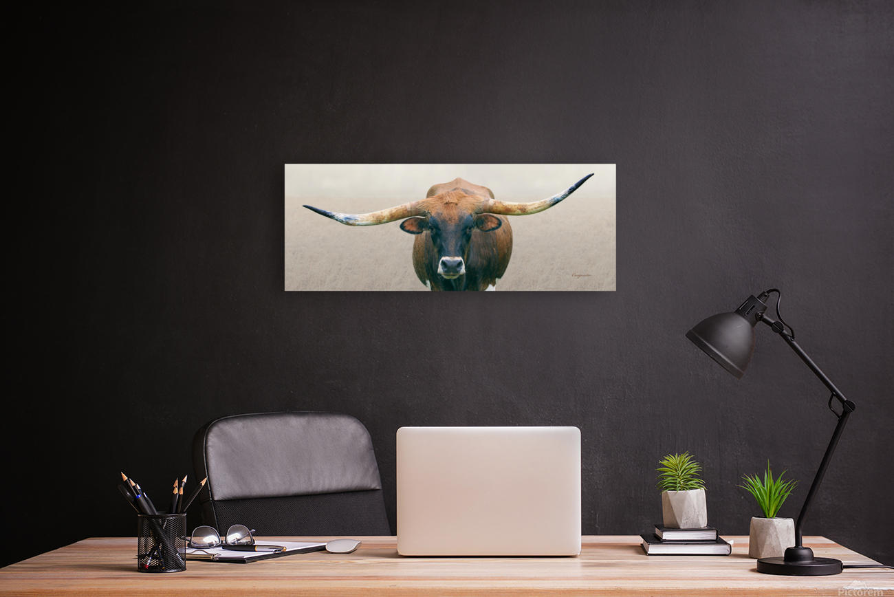 Longhorn Cow - Wide Format - Neutral Colors Reproduction
