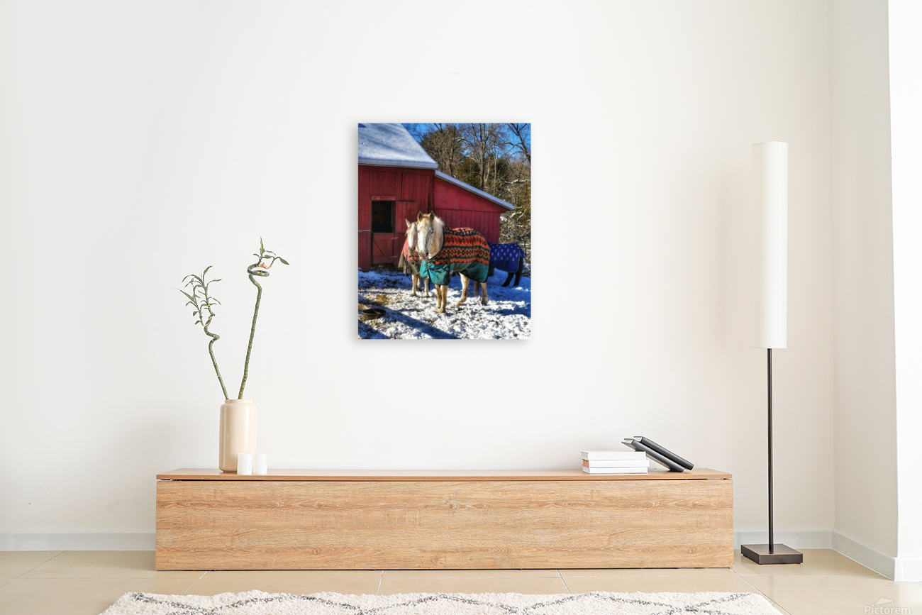 22 Horses in Winter Coats Reproduction