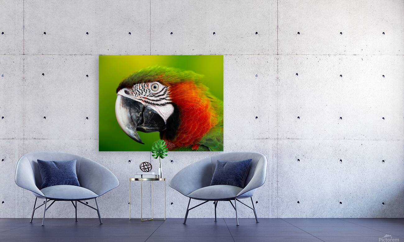 7F95D3C0 81A8 4645 9E33 E8E0E041A368 Reproduction