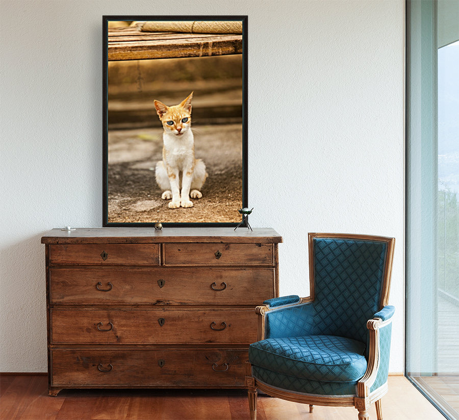 IMG_1320 Reproduction