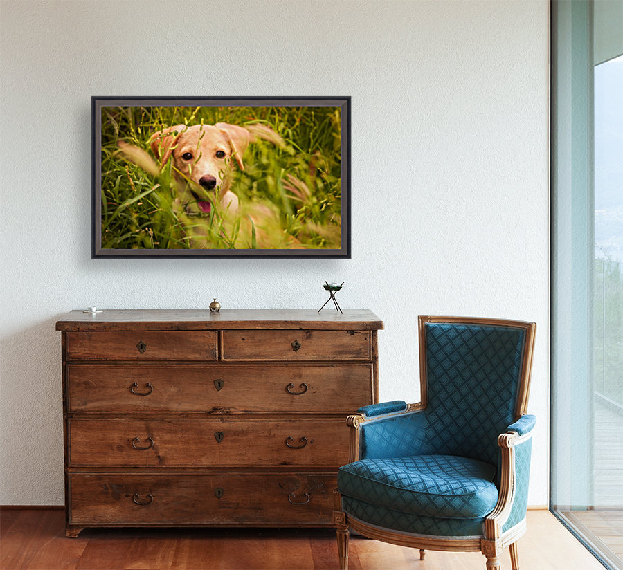 IMG_1411 2 Reproduction