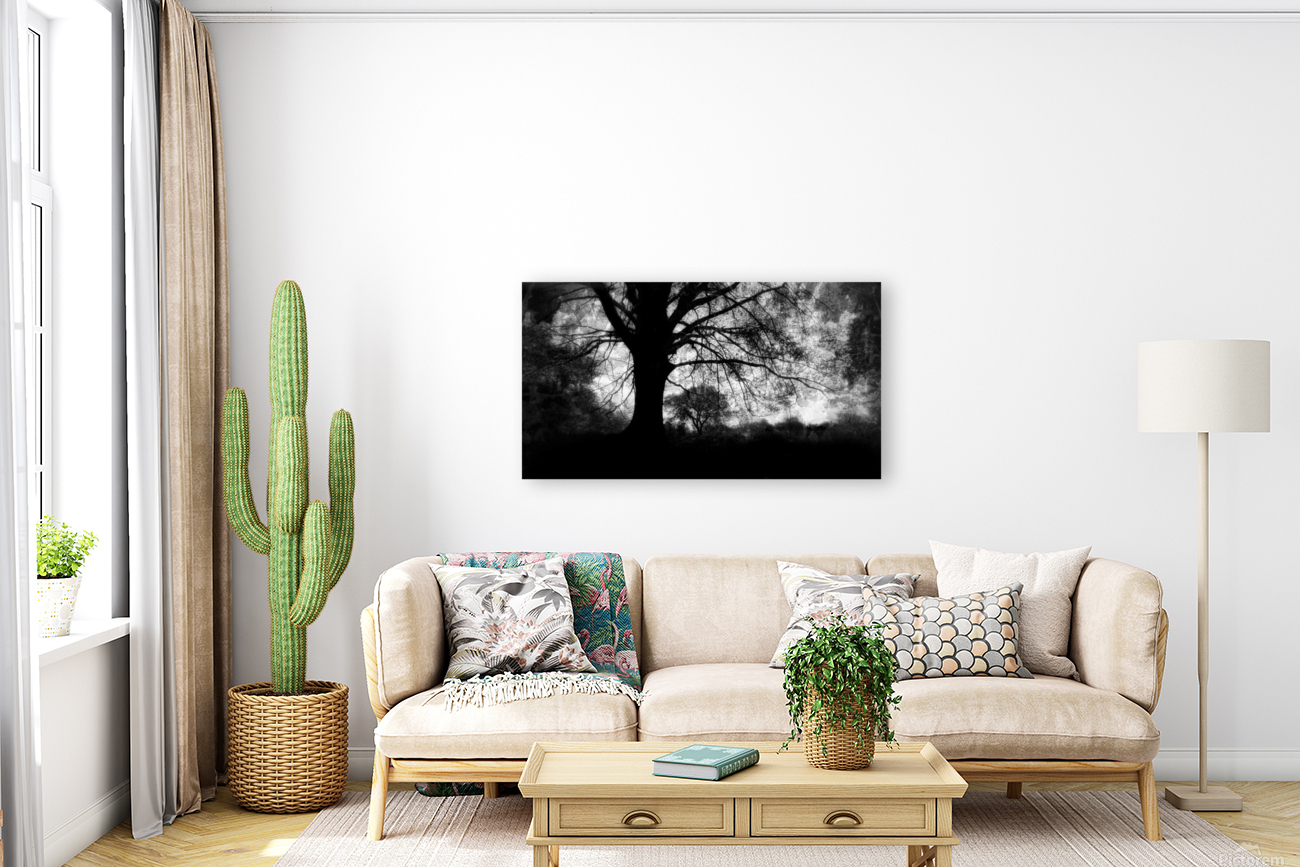 Oak Tree  B&W Reproduction