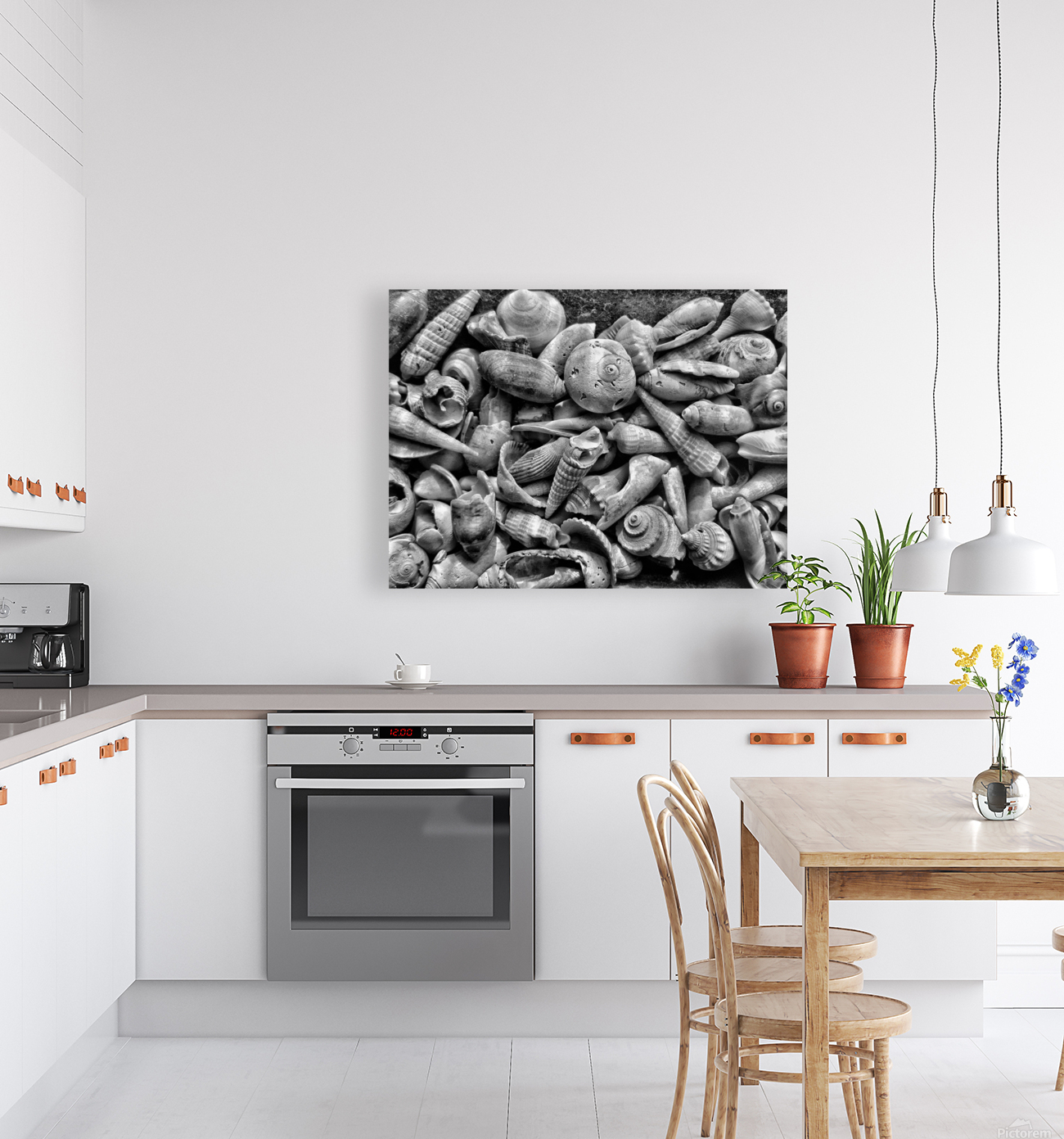 Seashells B&W Reproduction