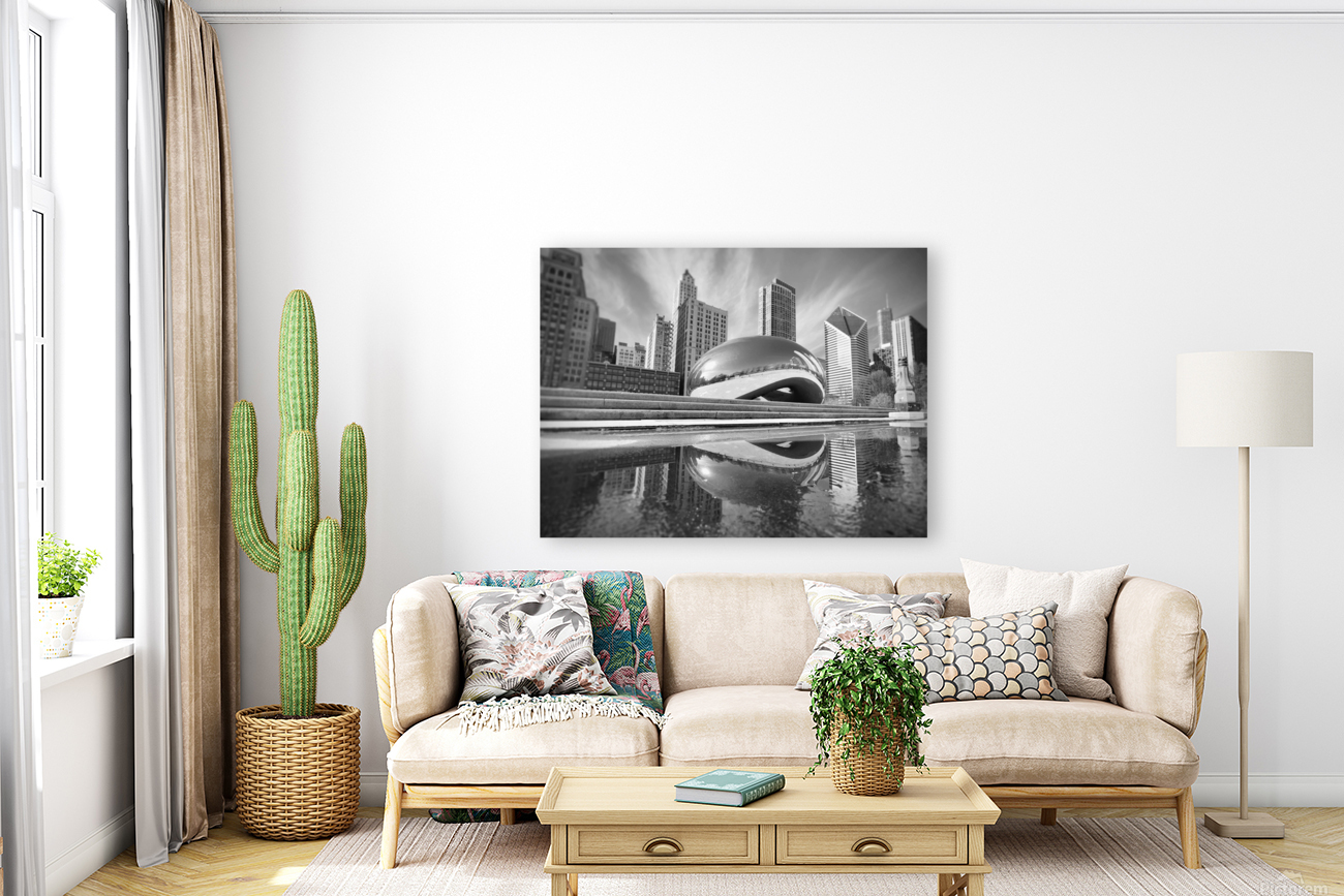 Chicago - The Cloud Gate I - Black & White Reproduction