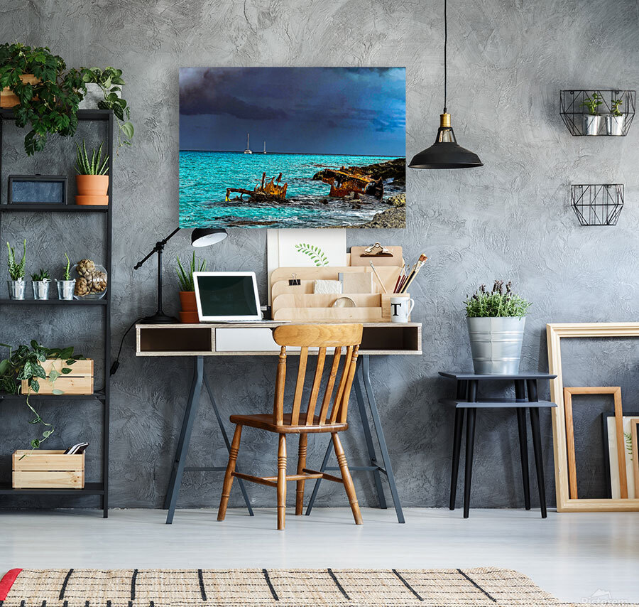 Bimini Storm Reproduction