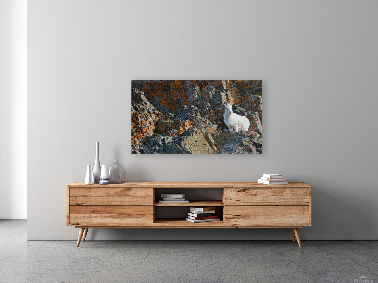 Ram sheep along Seward Highway Reproduction