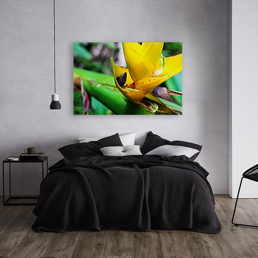 Puerto Rico Reproduction