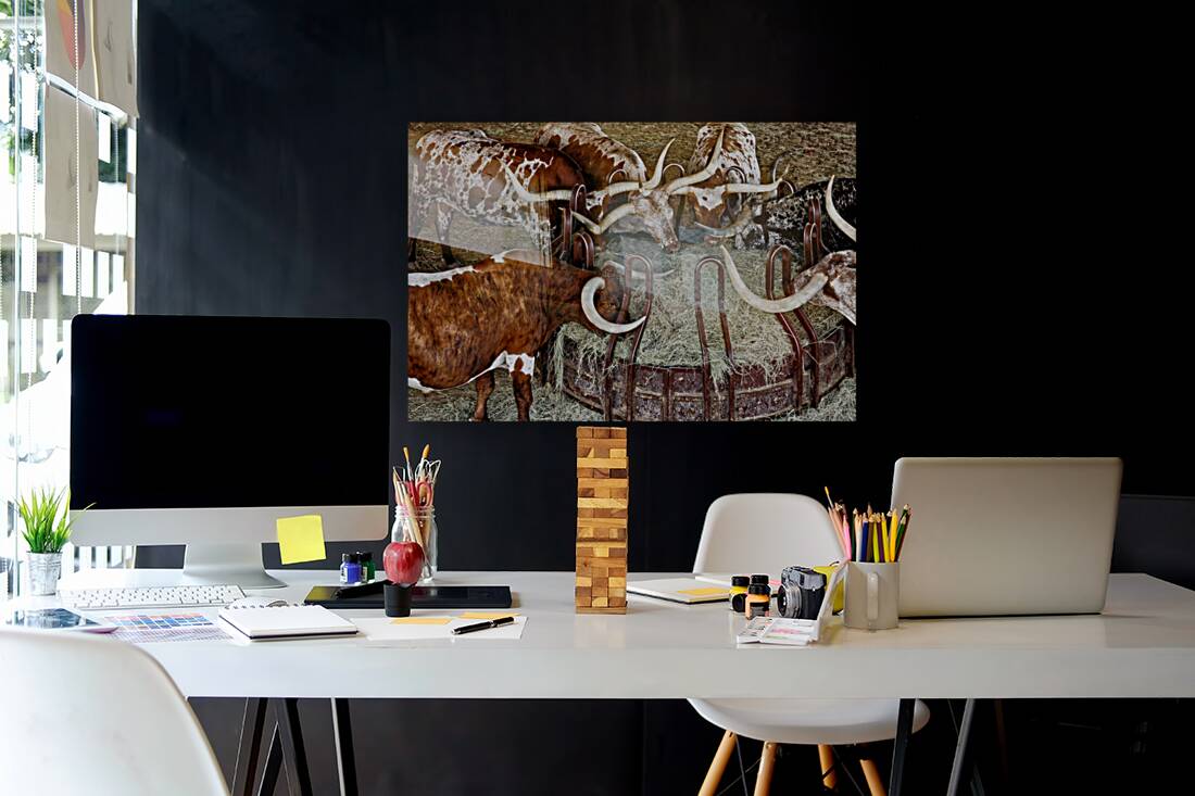 Longhorns Reproduction