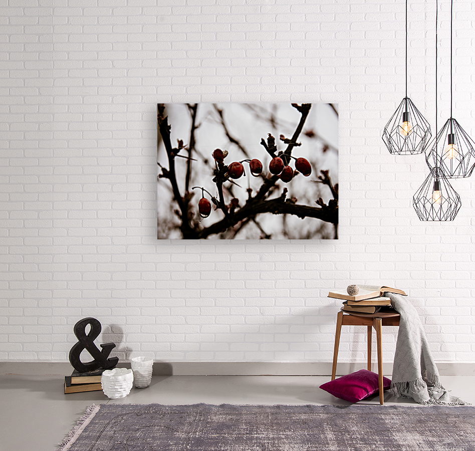 Scarlet Against the Sky Reproduction