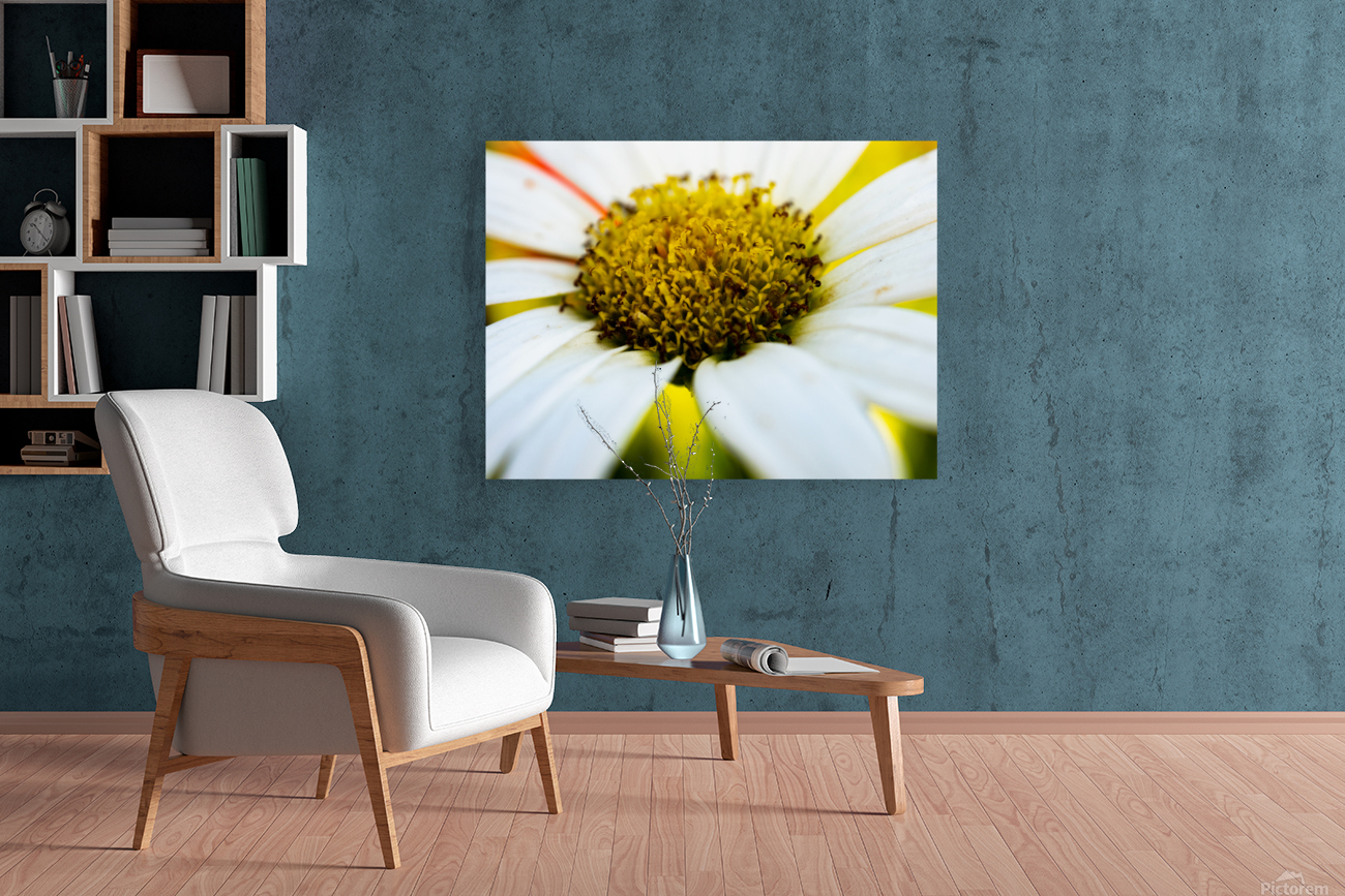 A Bright Spring Reproduction