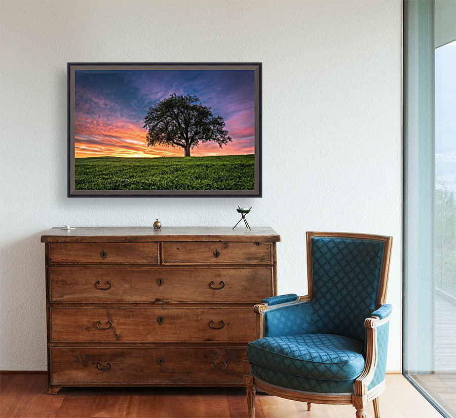 Lonely Tree at Sunset Reproduction