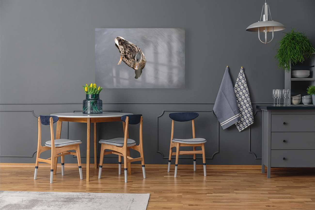 Petit Nageur  Reproduction