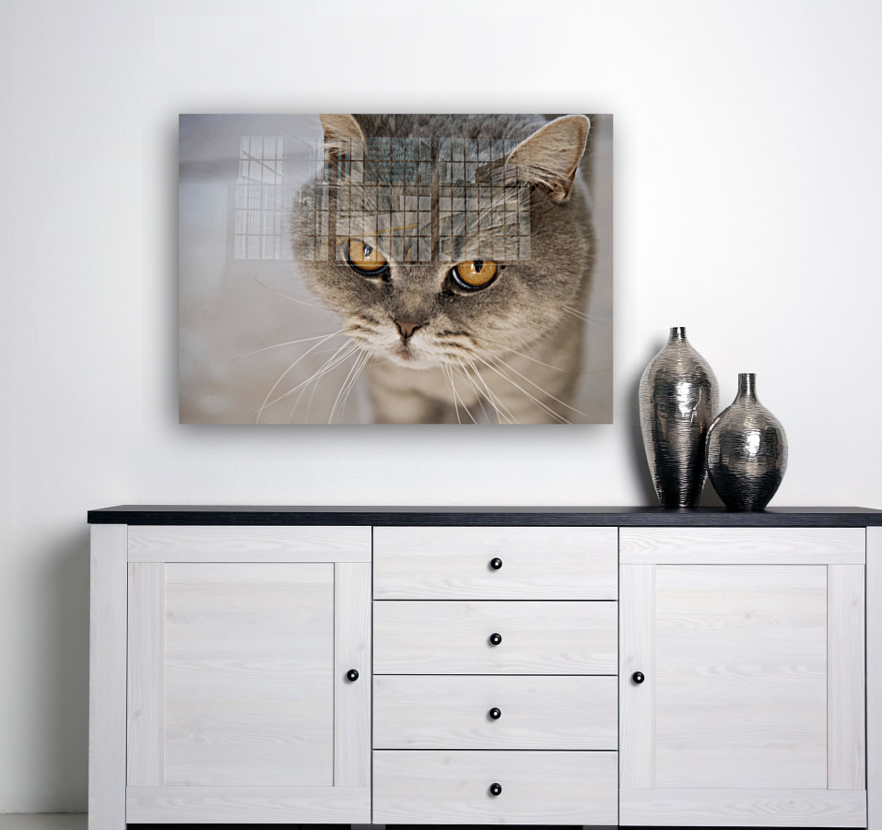 Chat Macro 2 Reproduction