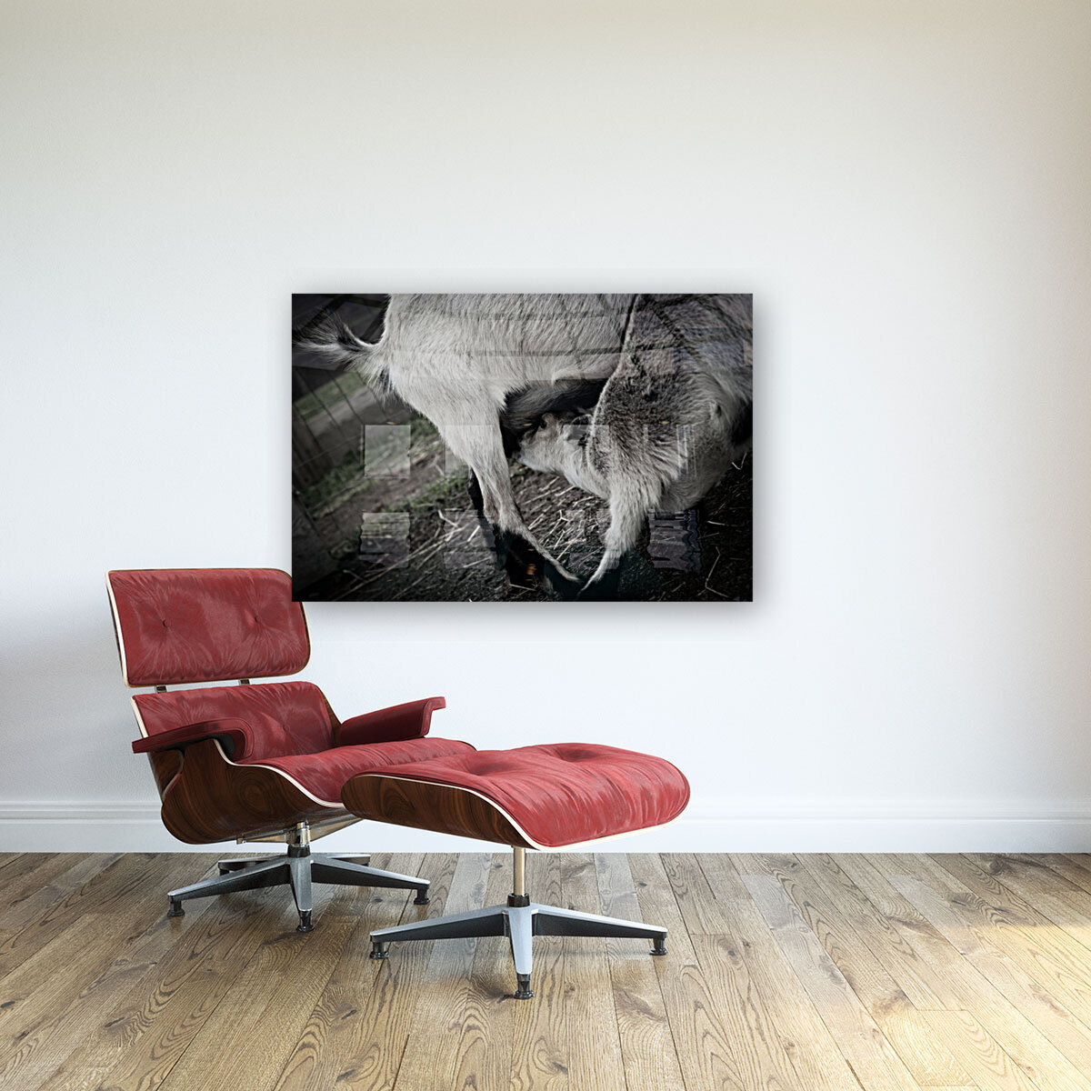 Chevreau qui mange Reproduction