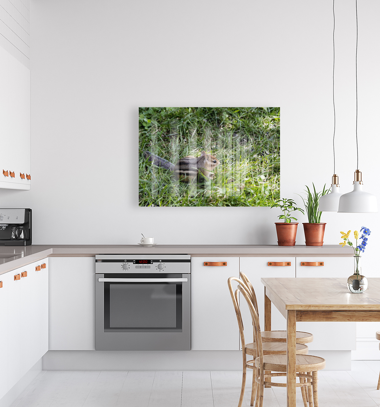 Suisse du Quebec  Reproduction