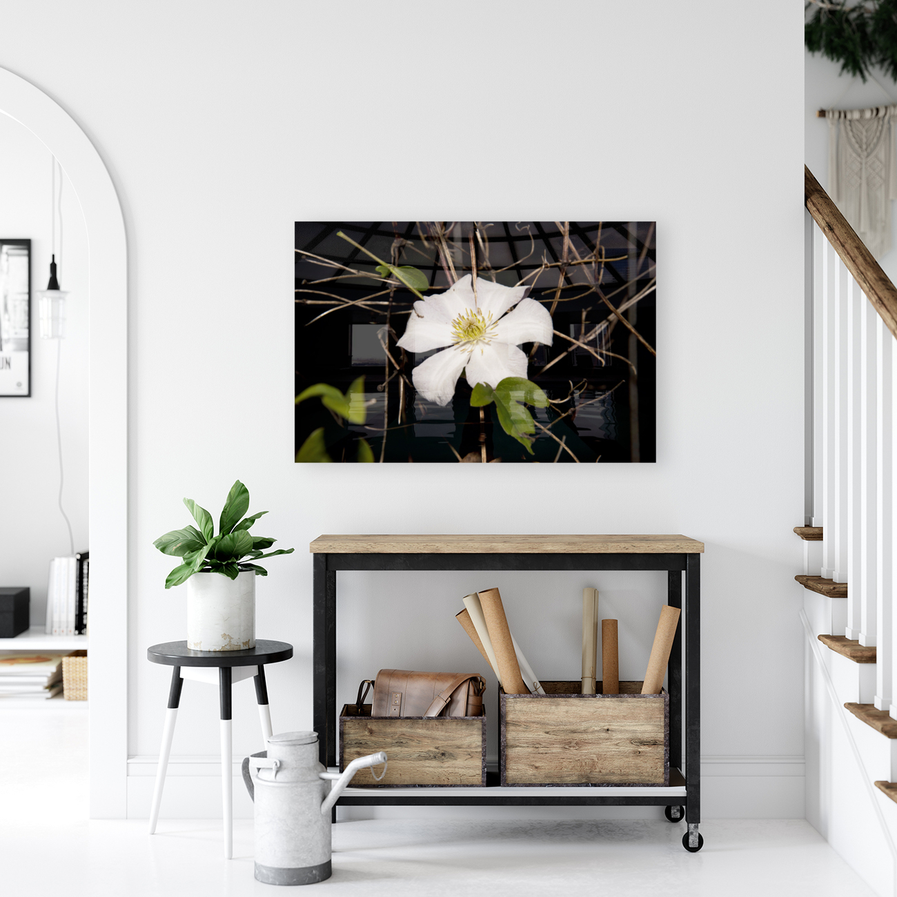 clematite des montagnes Reproduction