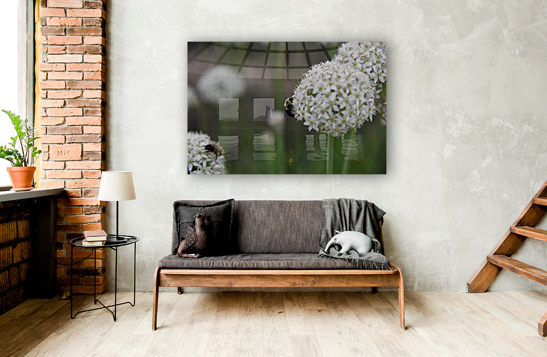 outside 00052 8 Reproduction