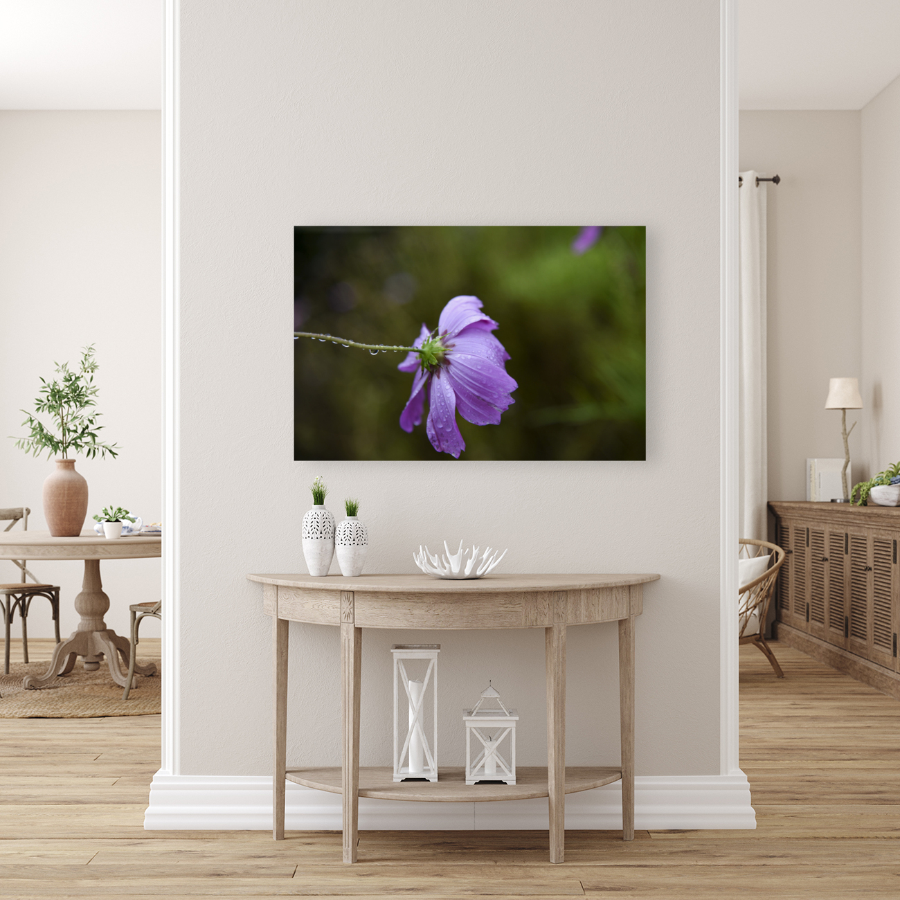 Cosmos sous la pluie Reproduction