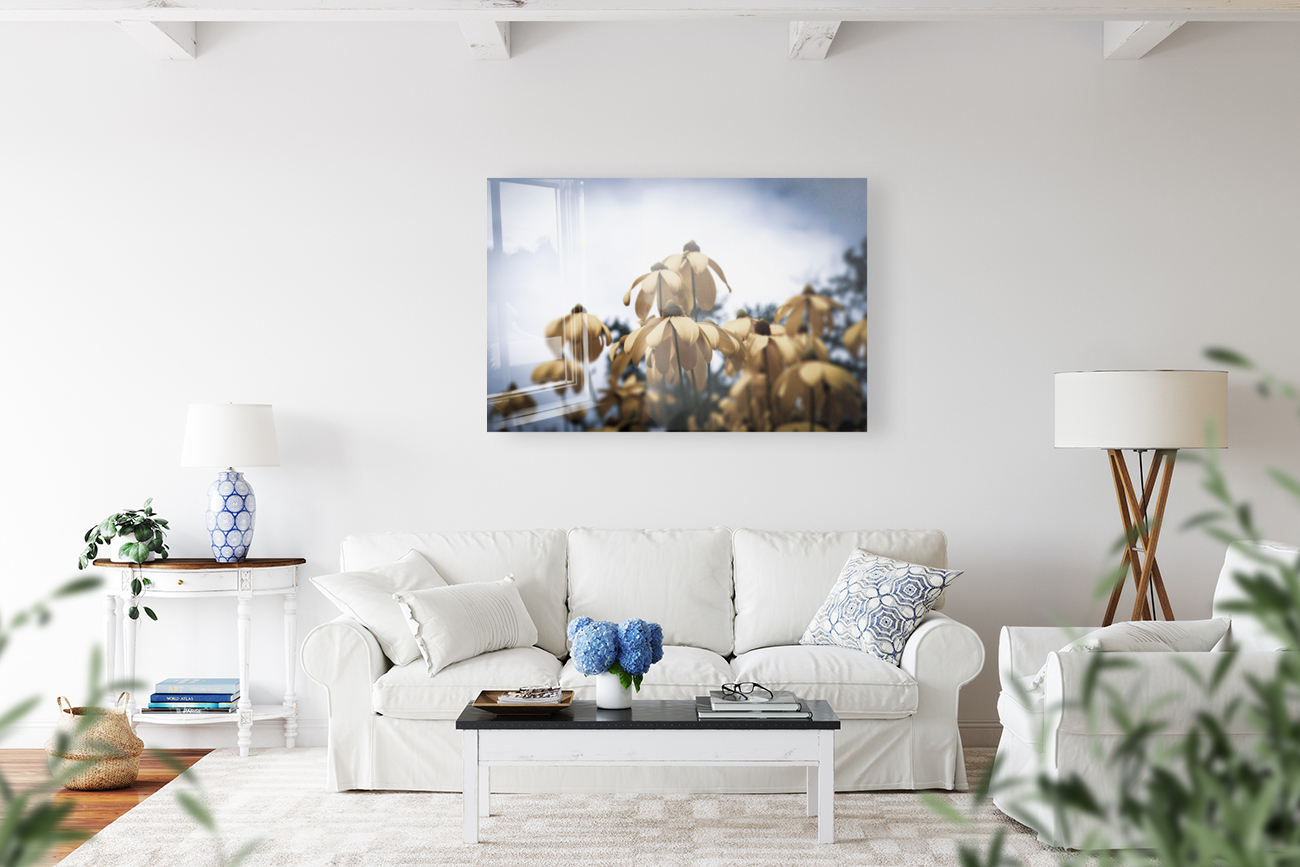 Champs de tournesol Reproduction