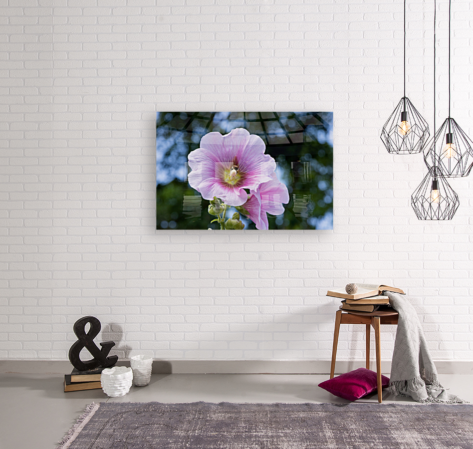 Fleur butiner ete Reproduction