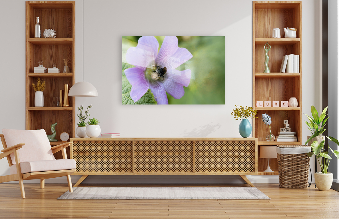  Pollen Collector: Close-Up of Bee on Pink Hibiscus Reproduction