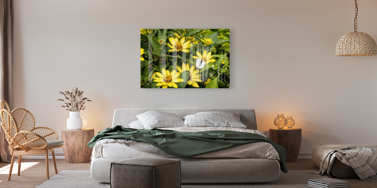 Sunflower Frolic: White Butterfly on Sunflowers Reproduction