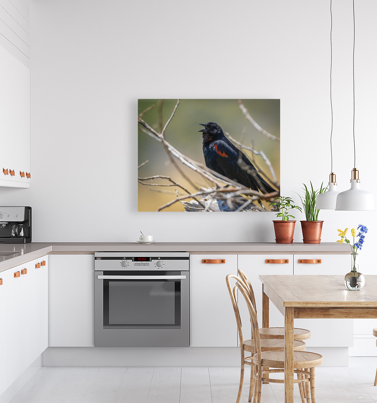 Red-winged Blackbird Reproduction