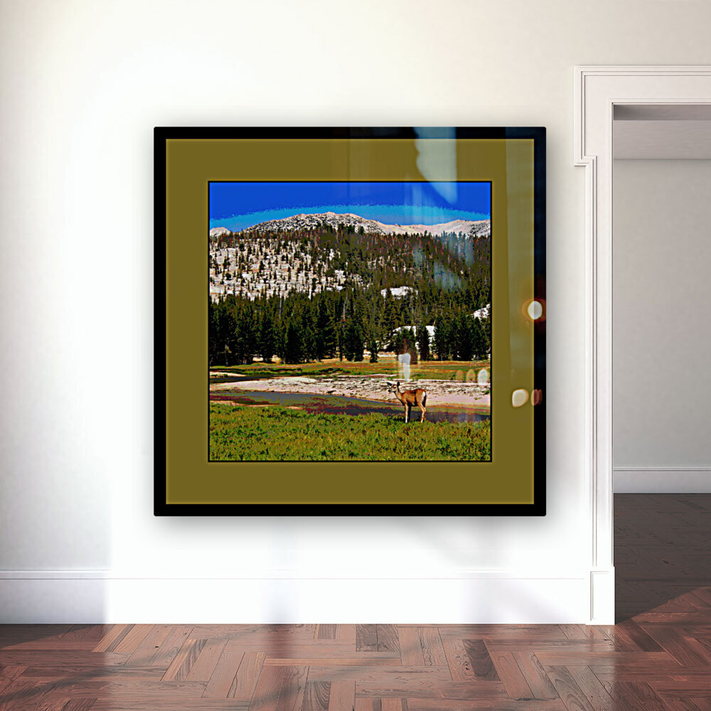 A Doe In Tuolumne Meadows Yosemite National Park Reproduction