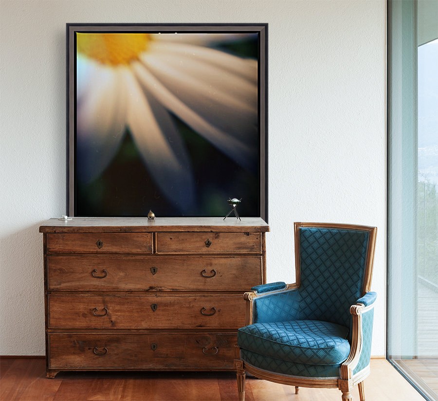 Petal devotion Reproduction