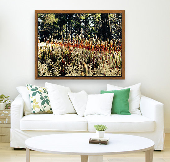 Forest Miniature Reproduction