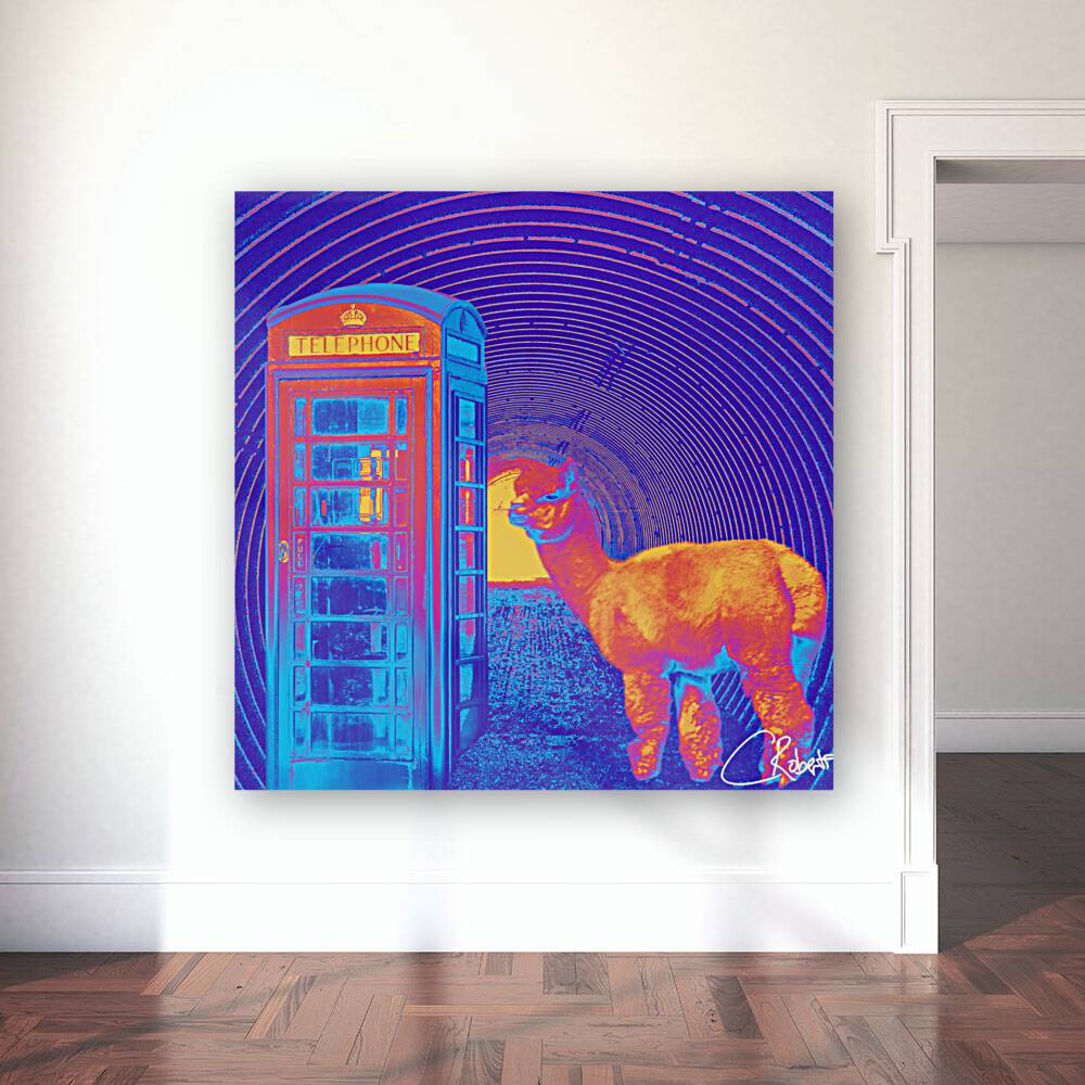 Tunnel Phone Box Lama and Randomness in the Scottish Highlands  Reproduction