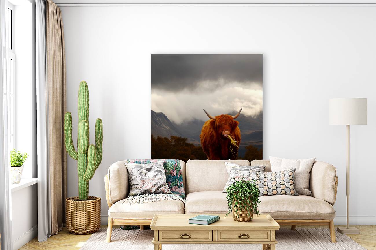  Highland Cow at the Lairig Ghru in the Scottish Highlands Reproduction