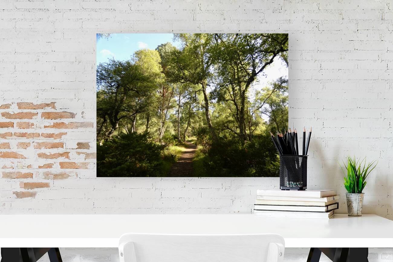  Leaving the Shadow Land in the Scottish Highlands Reproduction