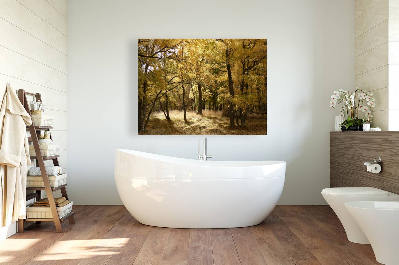 The Joy of Autumn in the Scottish Highlands Reproduction