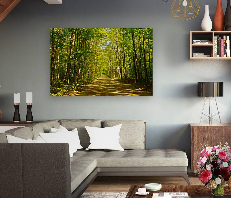 Peaceful Bancroft Side Road Reproduction