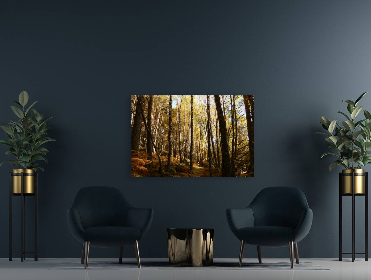 Autumnal Forest Walk in the Scottish Highlands Reproduction