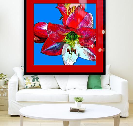 AMARYLLIS 002 Reproduction