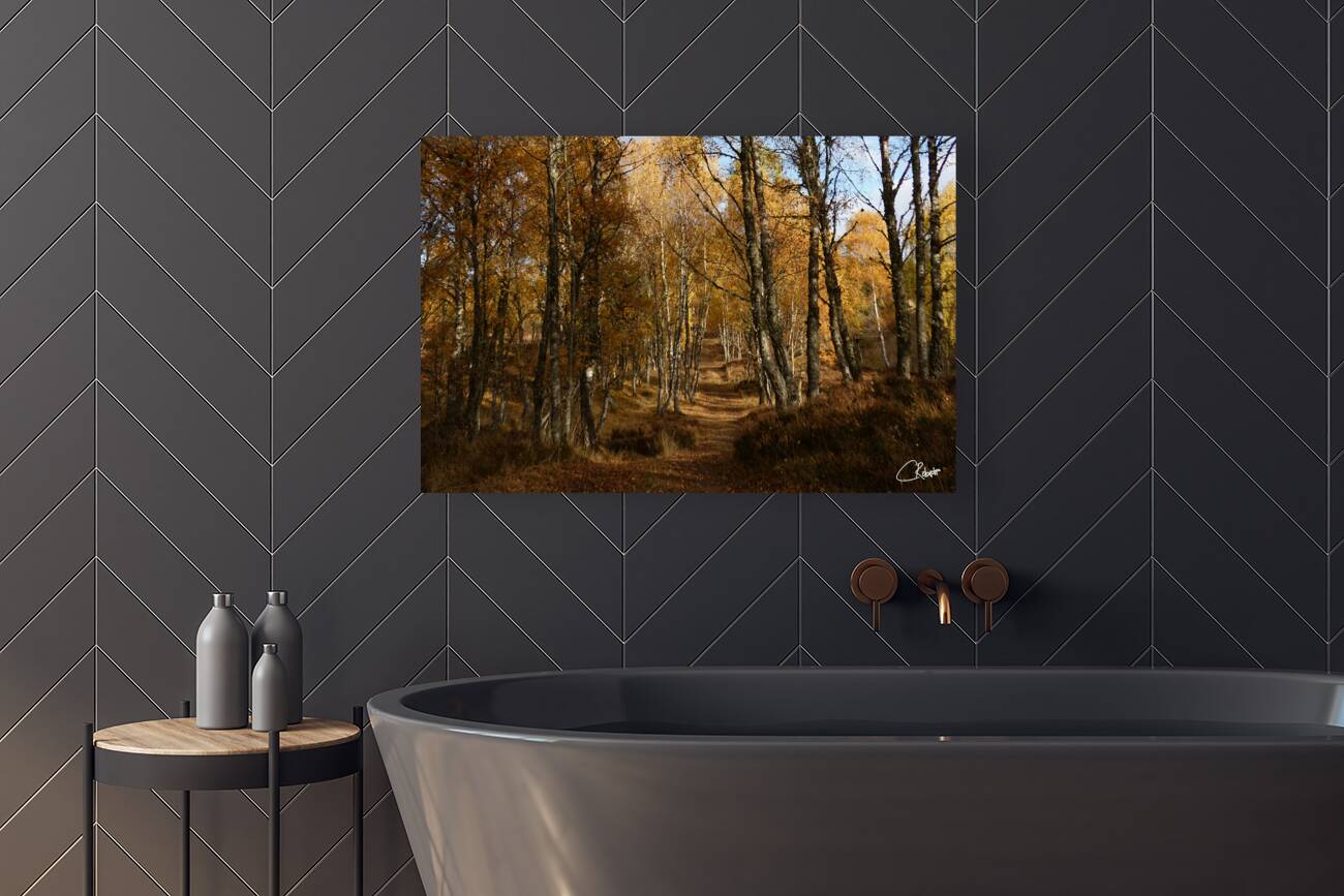 Autumns Ramble in the Scottish Highlands Reproduction