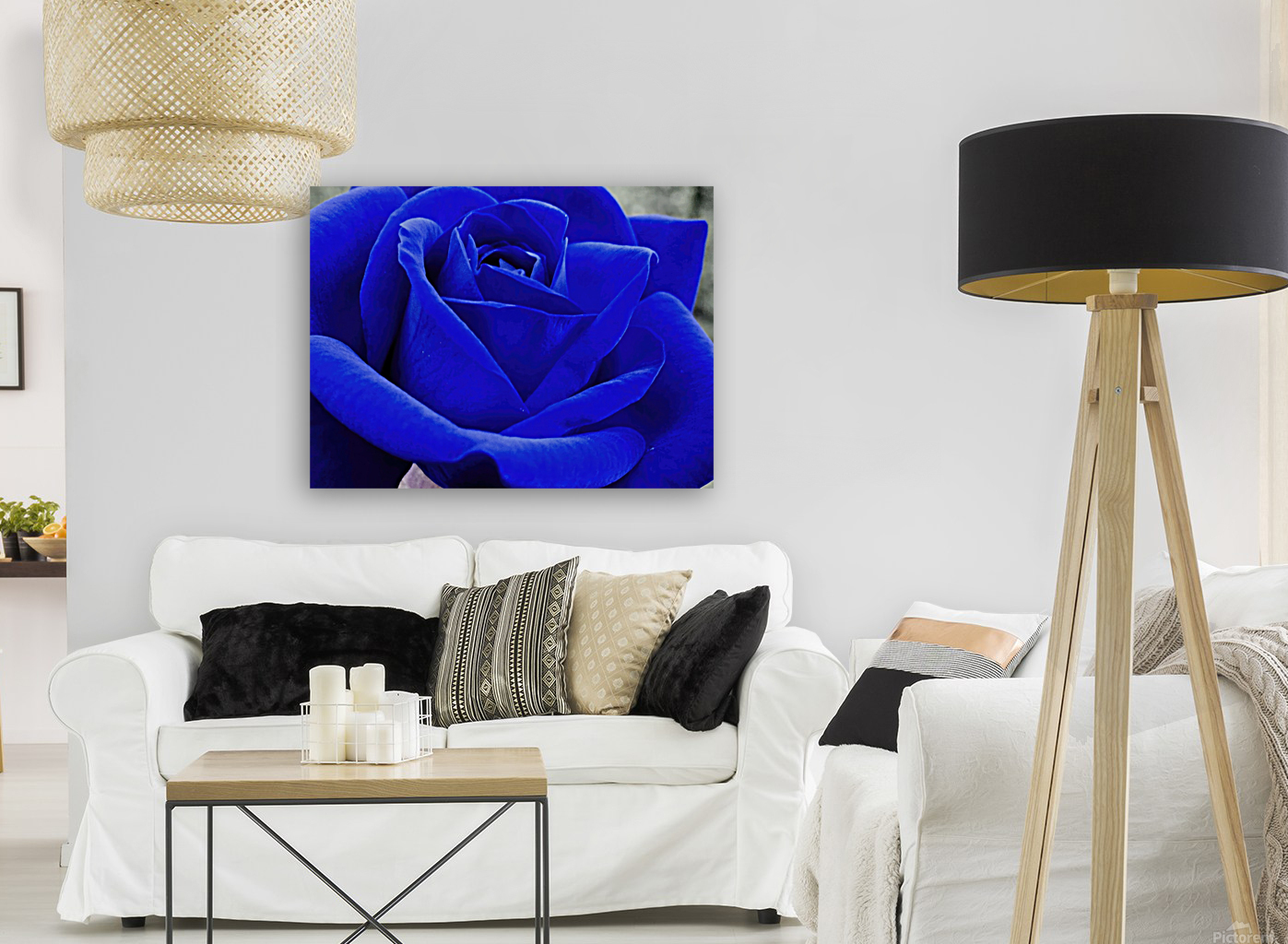 BLUER ROSE Reproduction