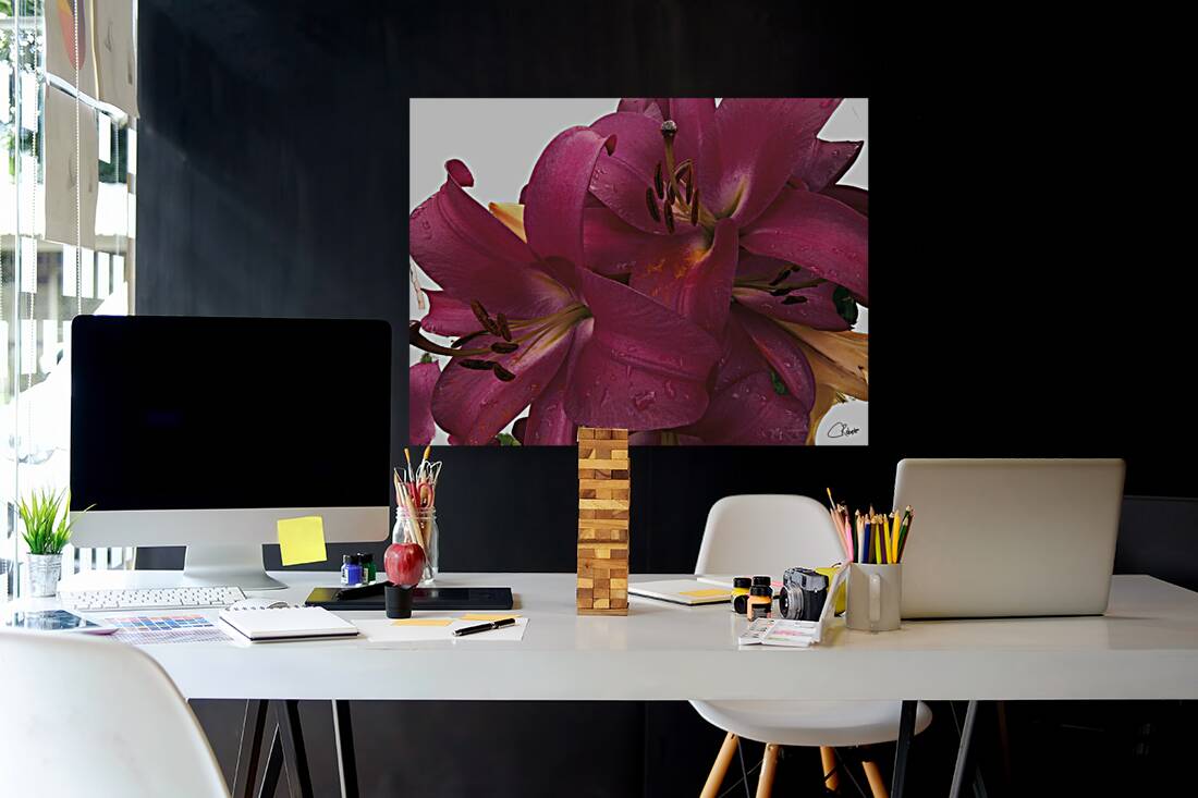 Ruby Lily Flowers Reproduction