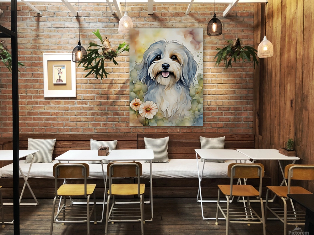 Cute Havanese Dog 3 Reproduction