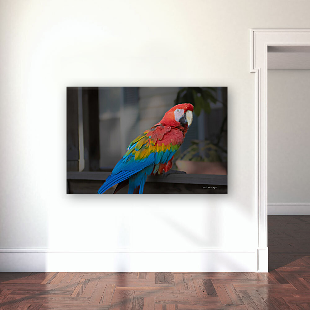 Callies Baby Reproduction