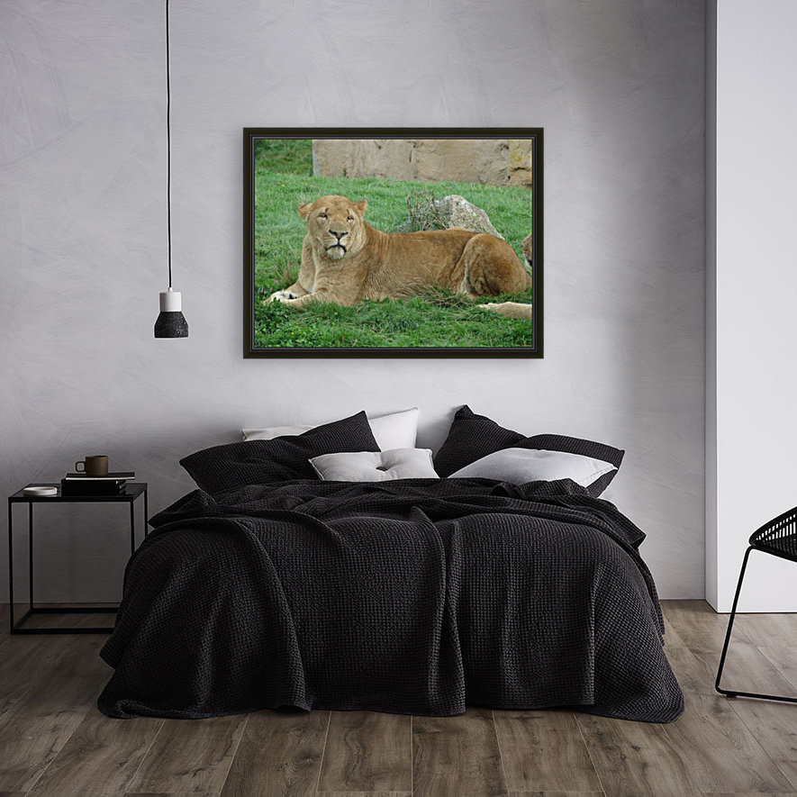 The Queen Reproduction