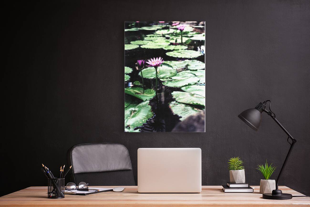 OmegaLilly  Reproduction