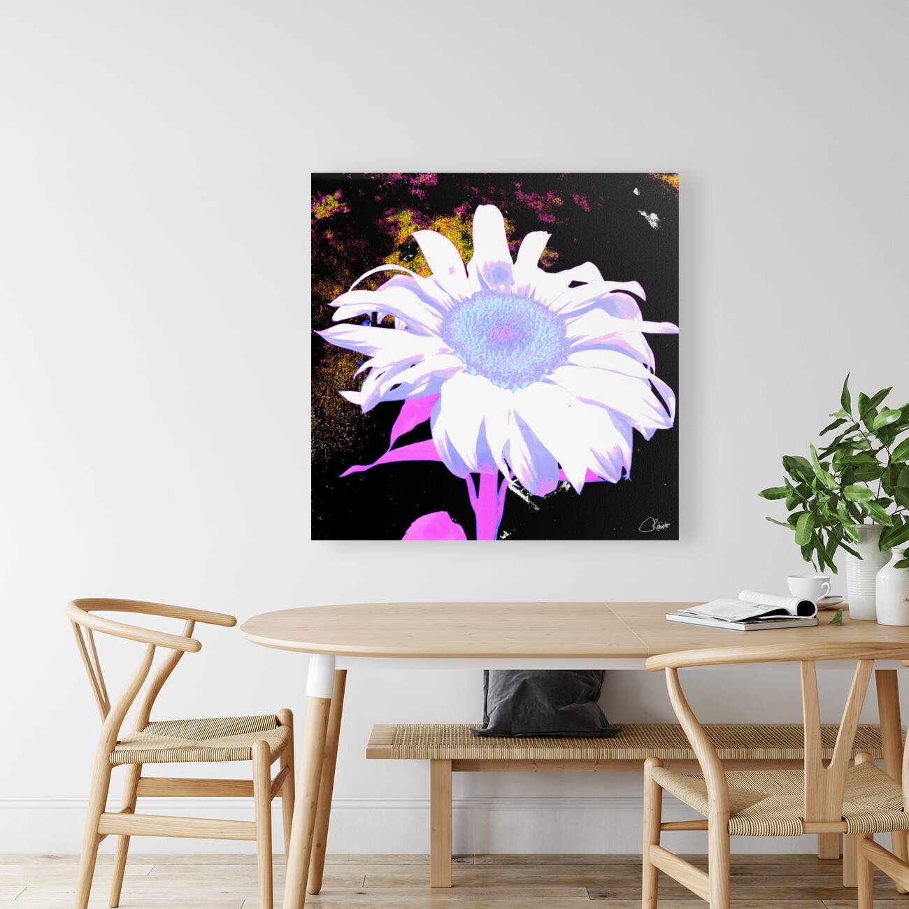 Pink Sunflower on  Dark  Abstract Background Reproduction
