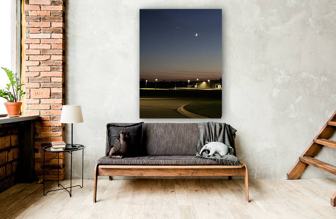 DavisonEve Reproduction